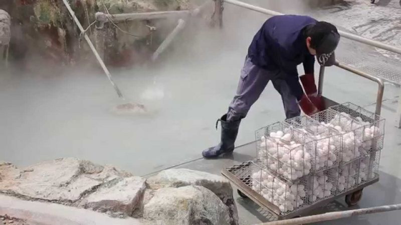 cách làm trứng Trường thọ